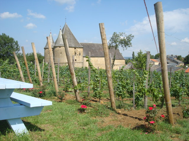 les vignerons de servion 20 Aout 2015